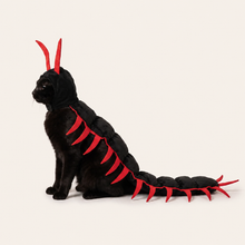 Cat wearing the CritterMode centipede costume