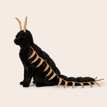 Centipede cat costume product photo