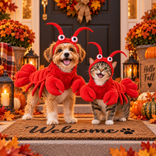 Dog and cat wearing playful CritterMode lobster transformation costumes